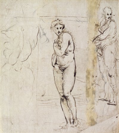 Study of Venus by Raffaello Sanzio Raphael